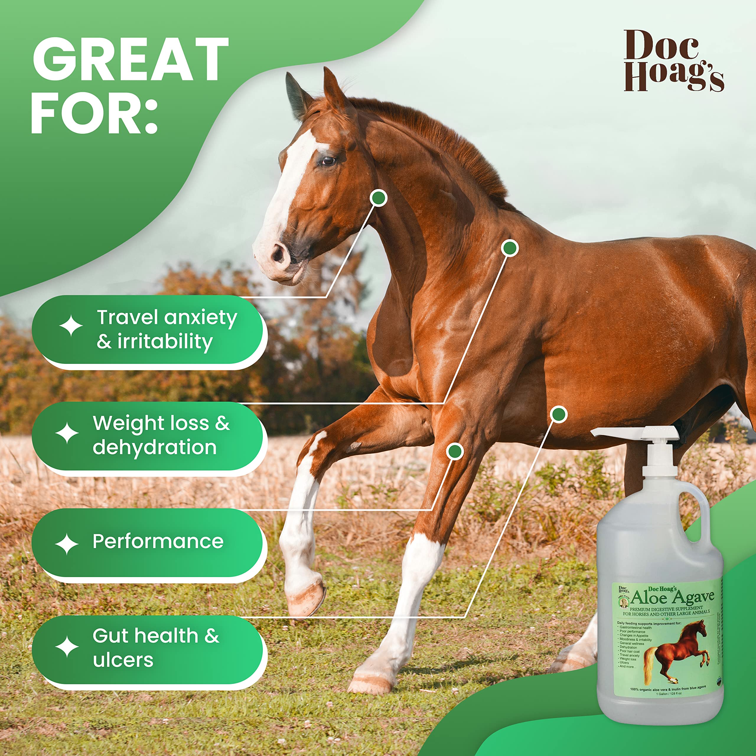Original Udder Balm product on horse illustrating digestive health support