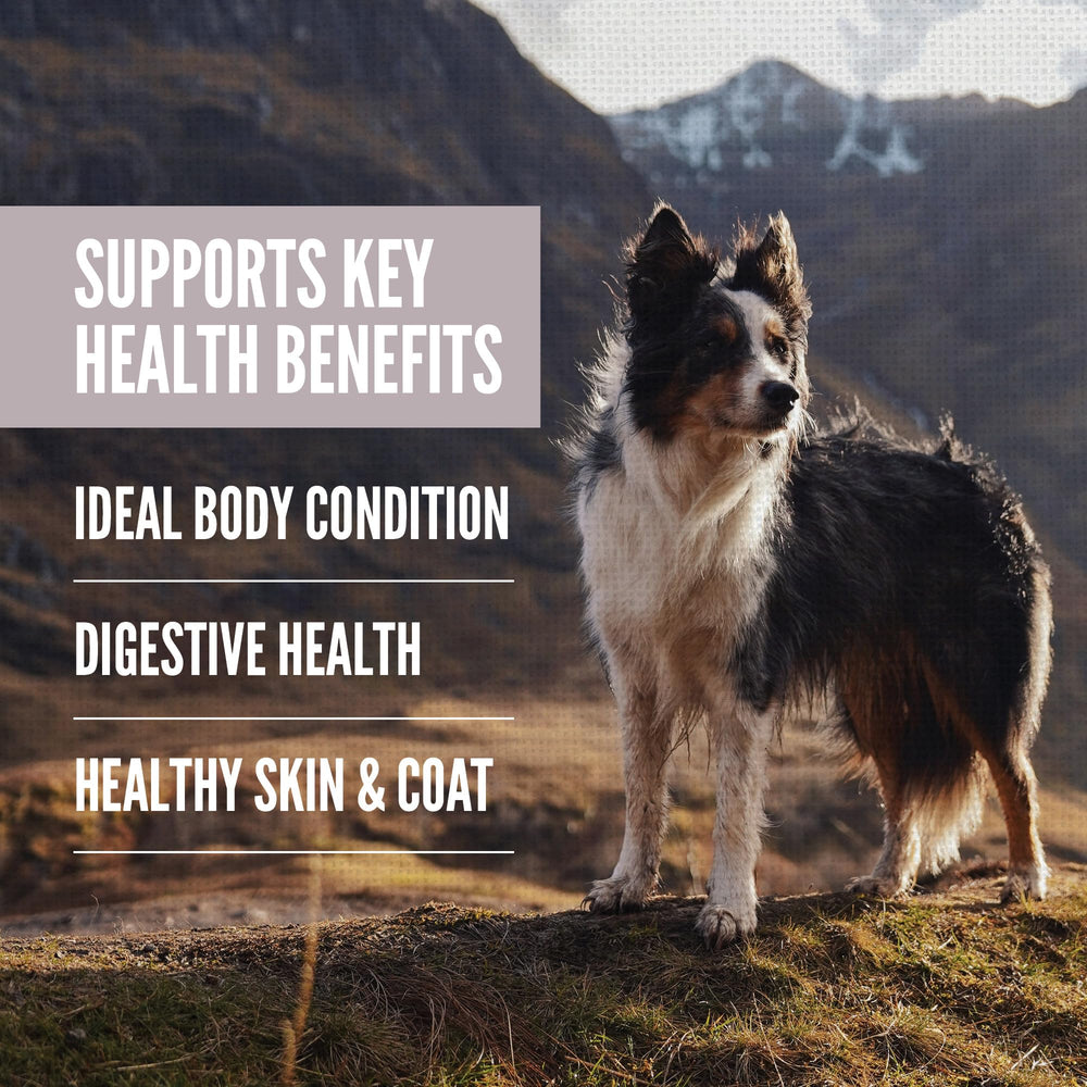 Kibble closeup reveals texture designed to support weight management.