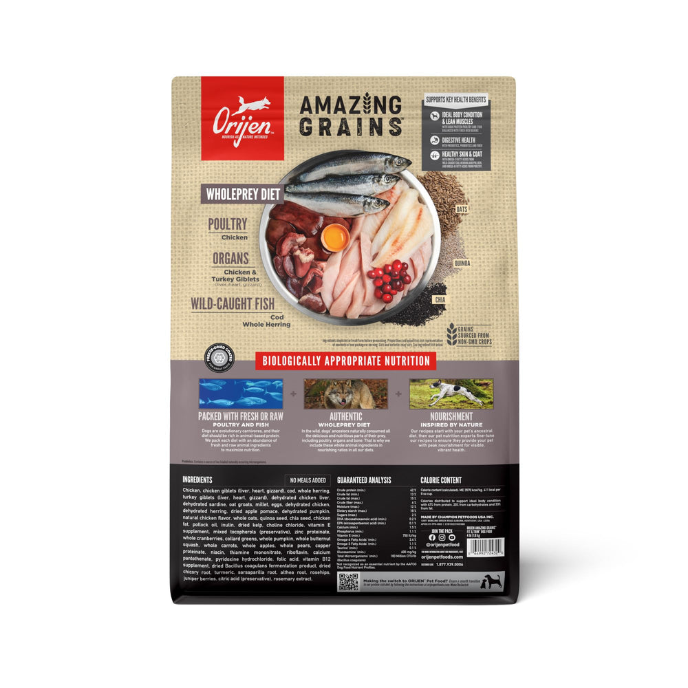 Close-up of ORIJEN kibble texture highlighting grain-inclusive recipe benefits.
