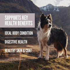 Kibble closeup reveals texture designed to support weight management.