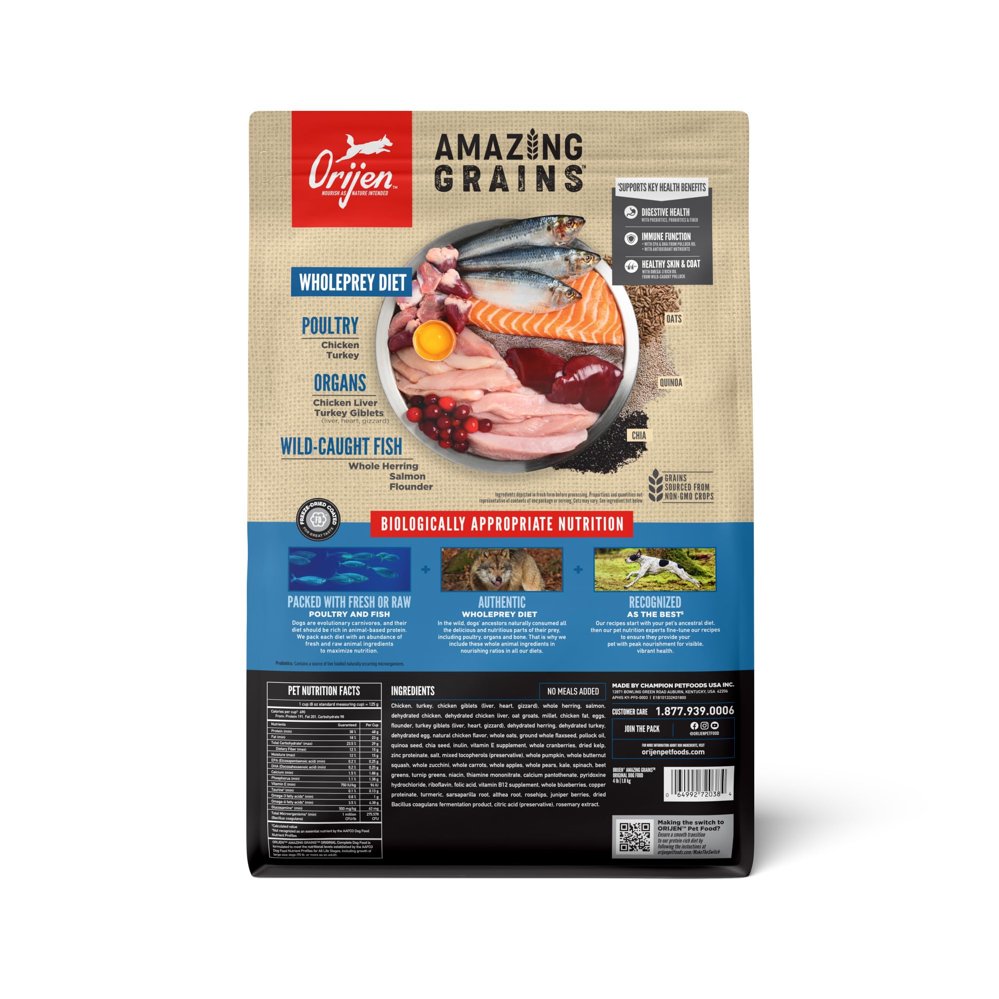 ORIJEN Amazing Grains kibble pours into bowl, promoting a protein-rich meal for dogs.