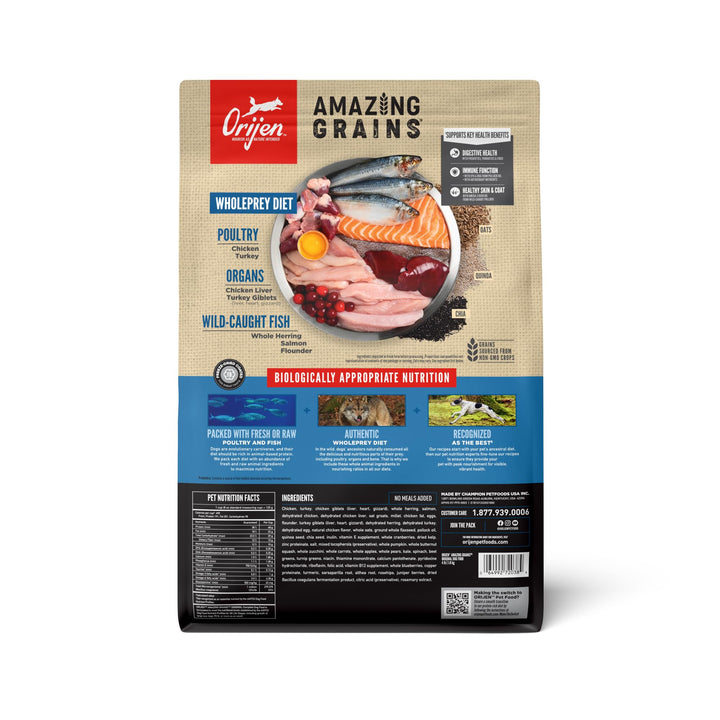 ORIJEN Amazing Grains kibble pours into bowl, promoting a protein-rich meal for dogs.