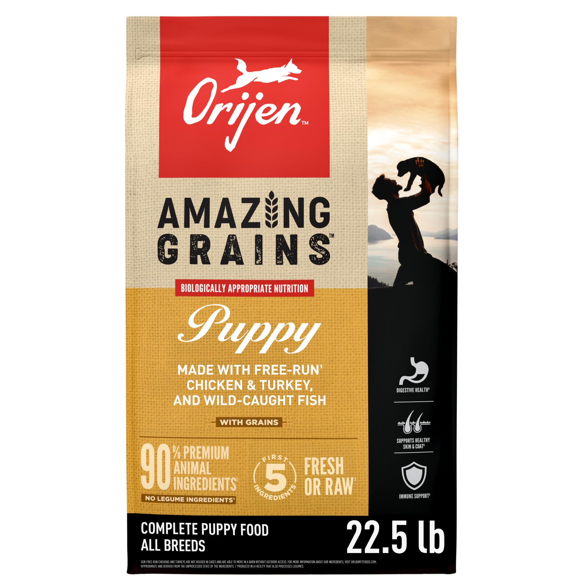 ORIJEN Amazing Grains Puppy bag front view showing 22.5 lb packaging and branding.