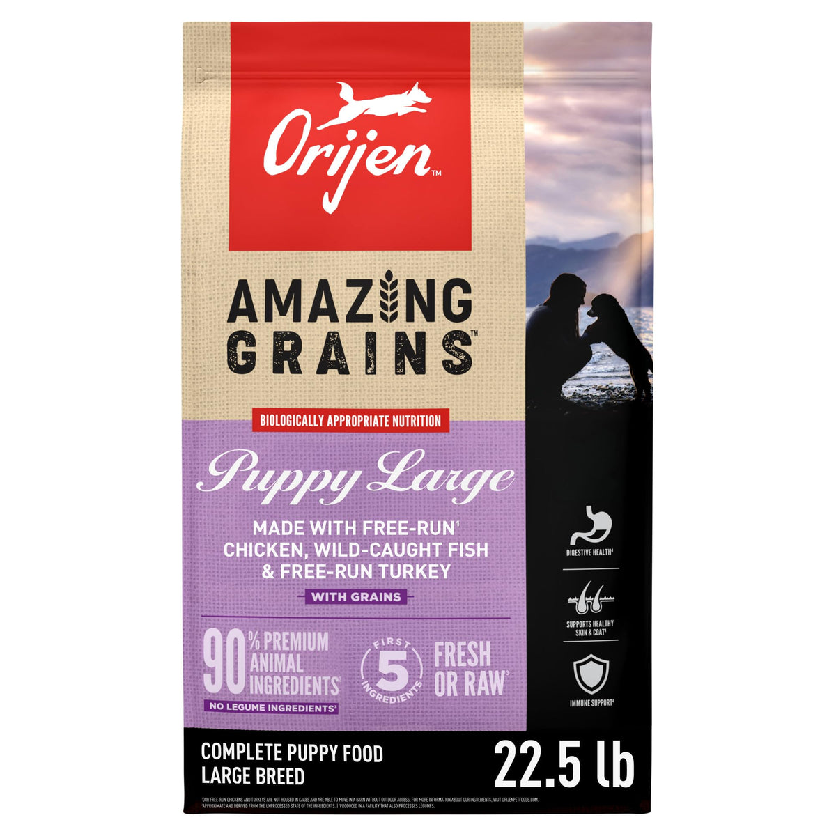 ORIJEN Amazing Grains Puppy Large Bag shown, high-protein support for growing puppies