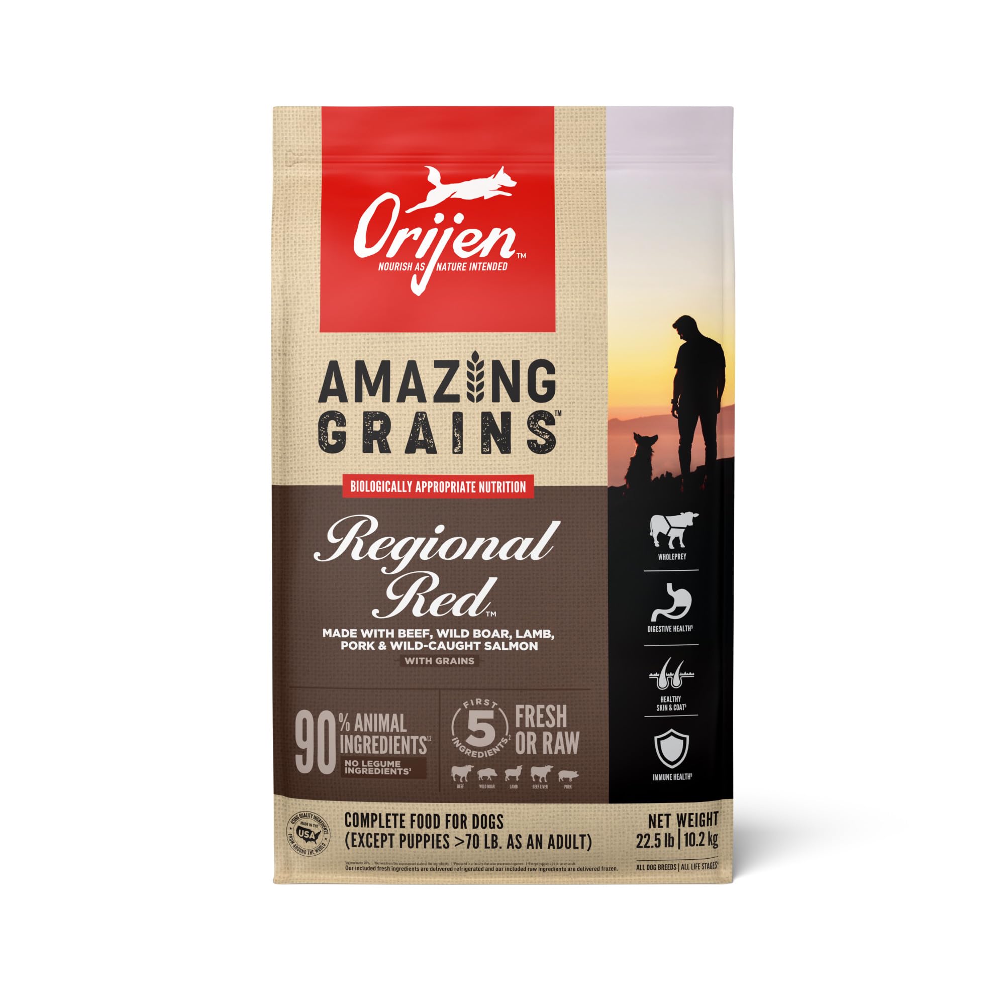ORIJEN Amazing Grains Regional Red dry dog food bag showing premium nutrition for dogs.