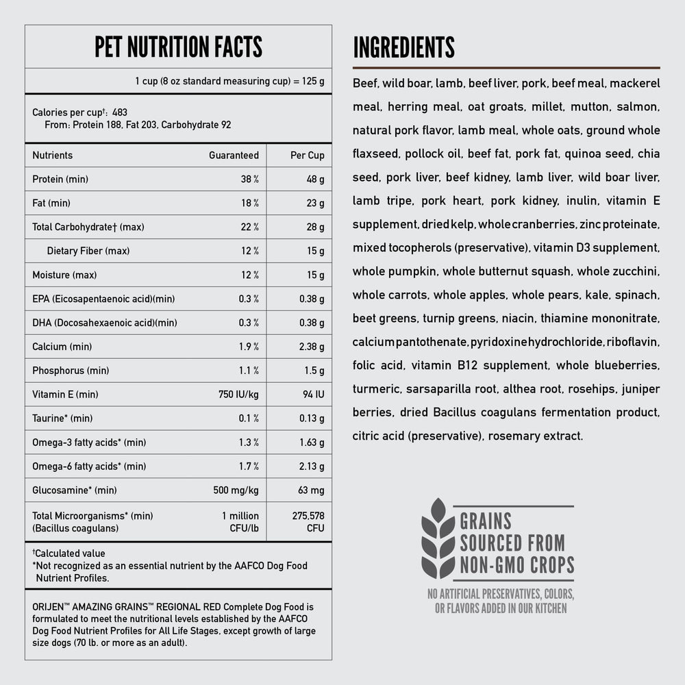 ORIJEN Amazing Grains Regional Red freeze-dried coating visible on kibble for flavor boost.