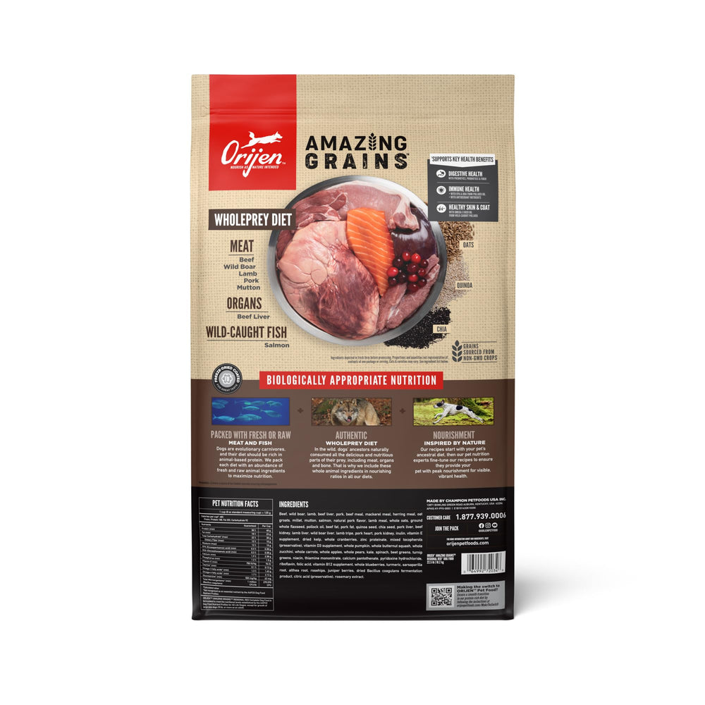 ORIJEN Amazing Grains Regional Red kibble closeup highlighting high-protein texture for dogs.
