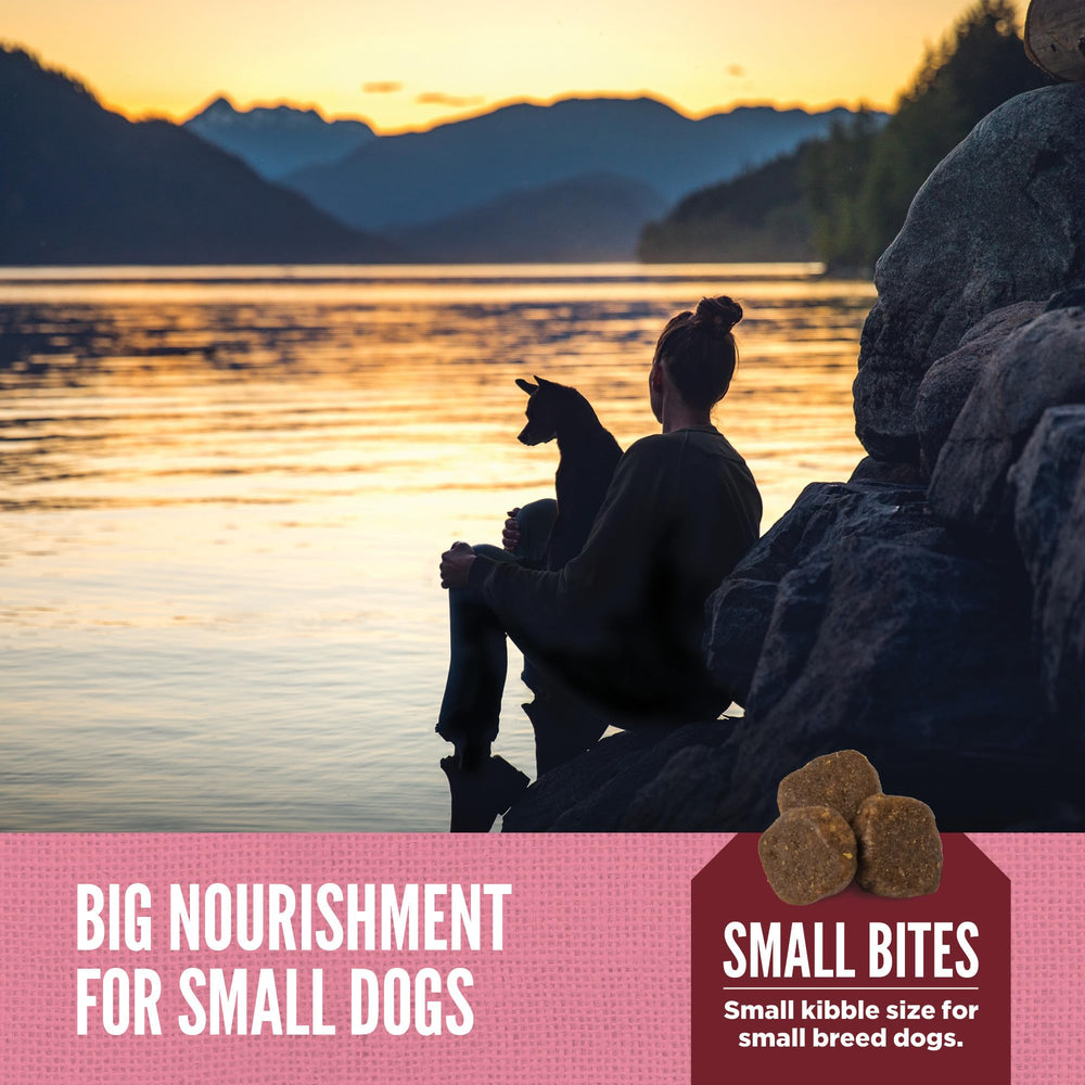 Wild-caught fish components enrich ORIJEN Amazing Grains Small Breed formula