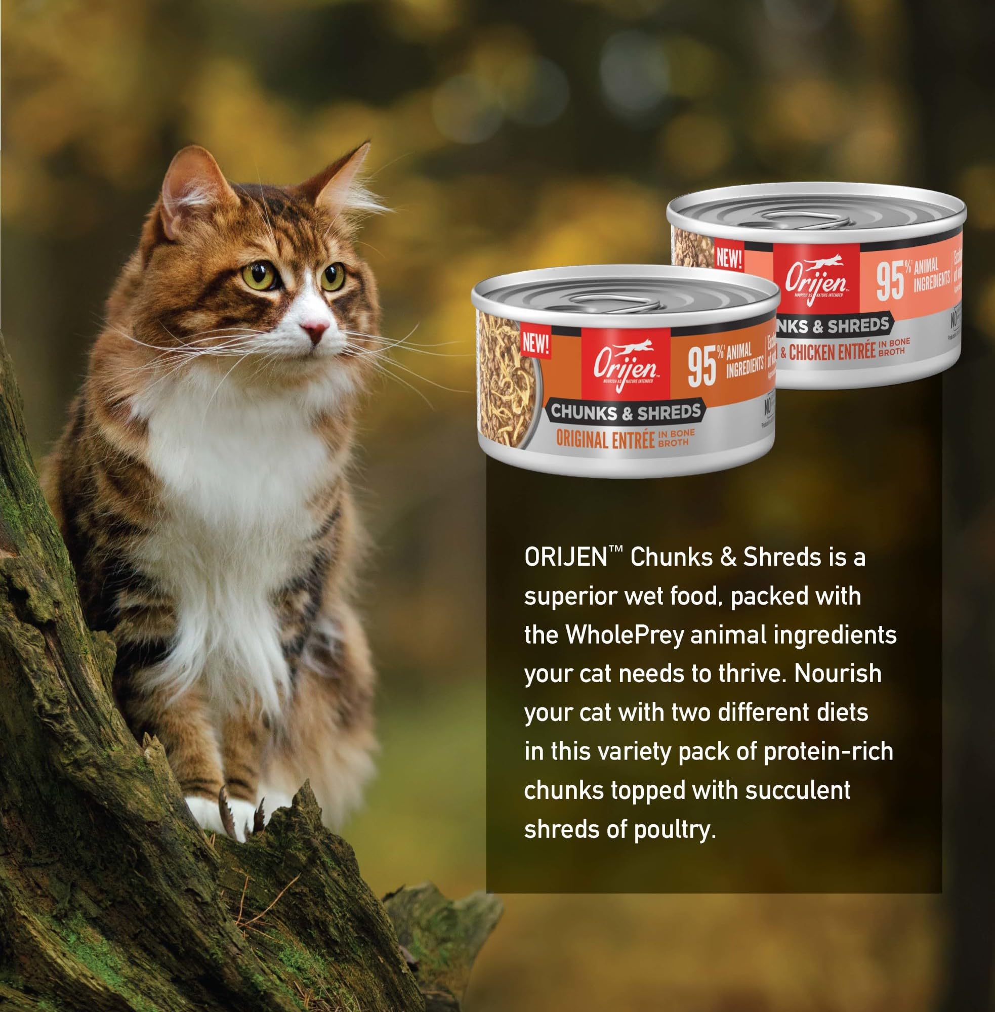 ORIJEN Chunks & Shreds No grain formula badge on packaging emphasizing grain-free diet