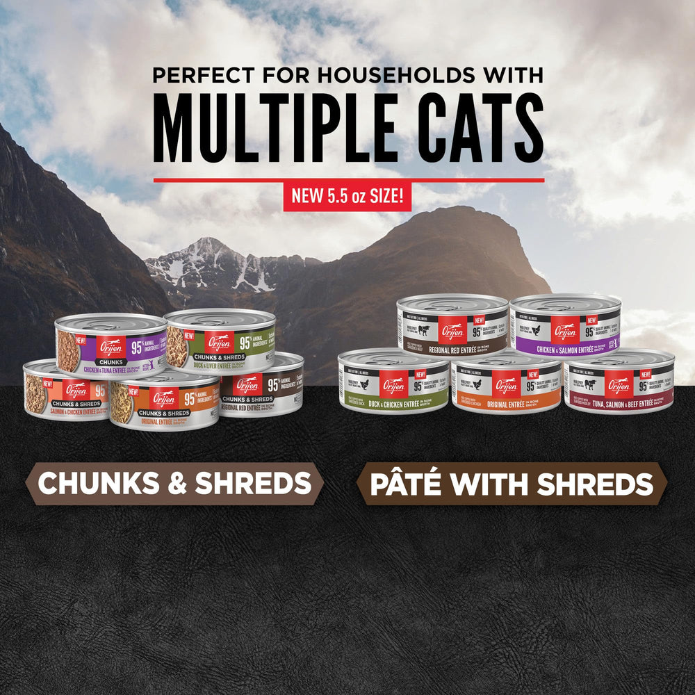 Ingredient list close-up highlights top animal ingredients like beef and tuna.