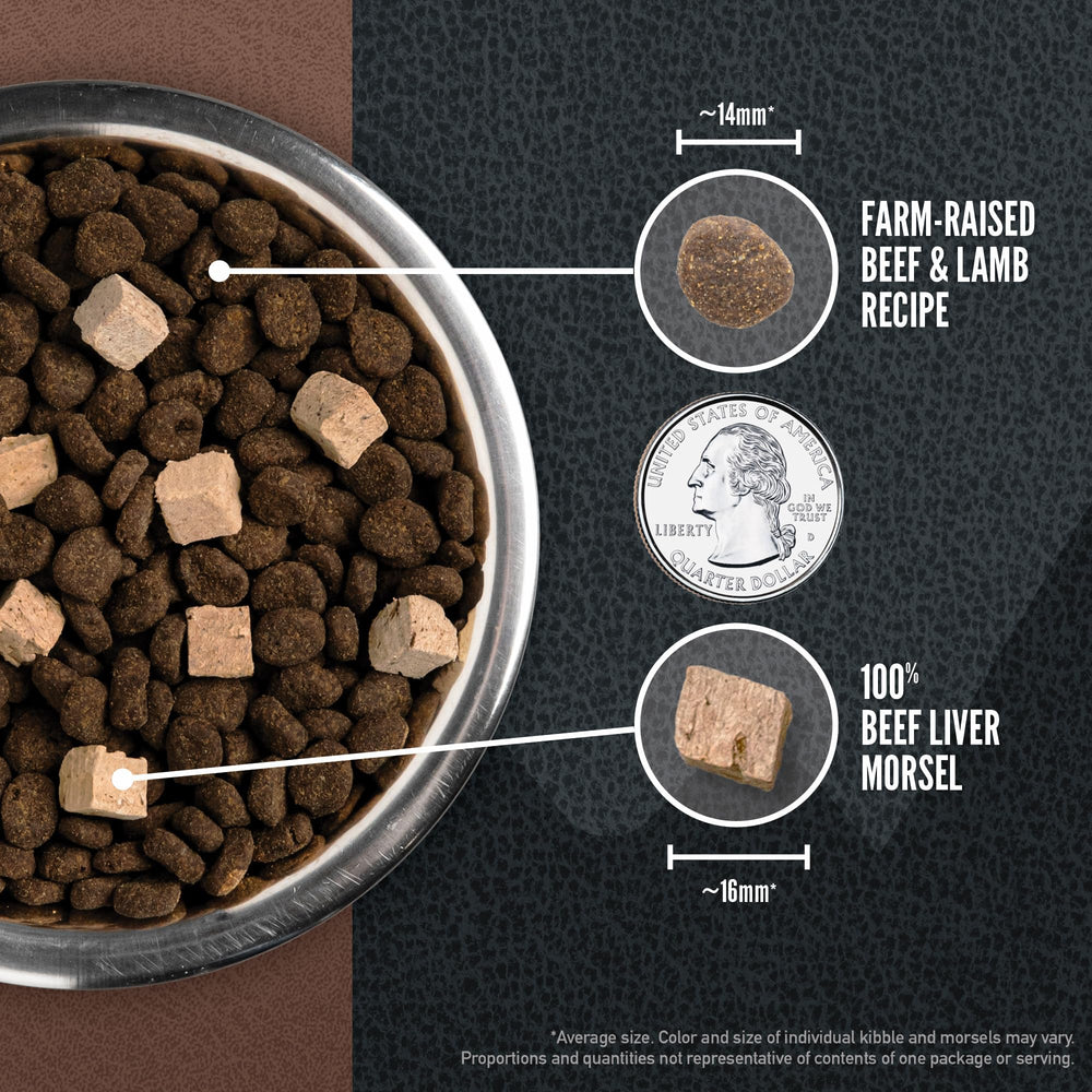 ORIJEN dog food suggesting immune health support with nutrient-dense recipe