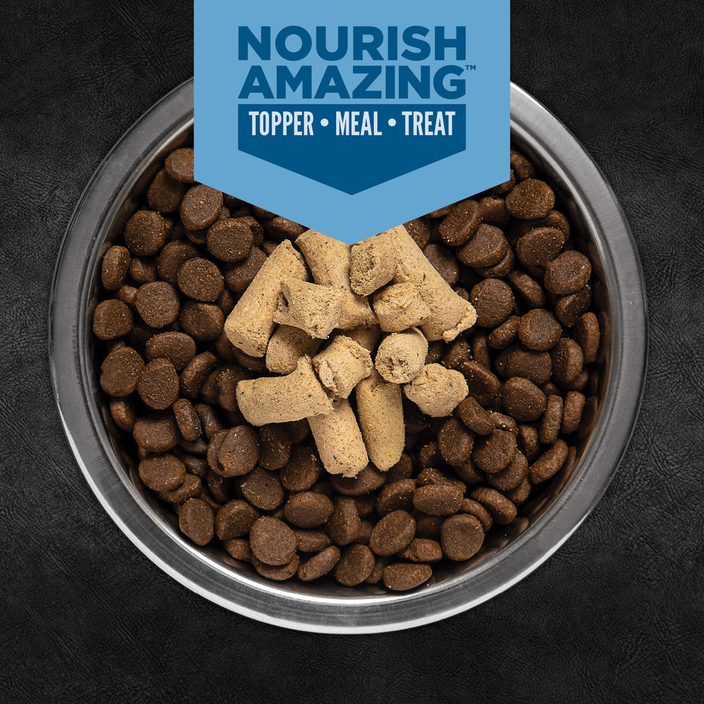 ORIJEN Epic Bites topper on kibble to boost taste and nutrition.
