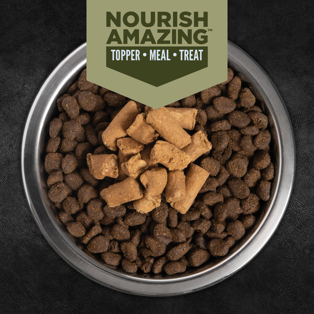 ORIJEN Epic Bites Tundra serving bowl, ready as topper or meal