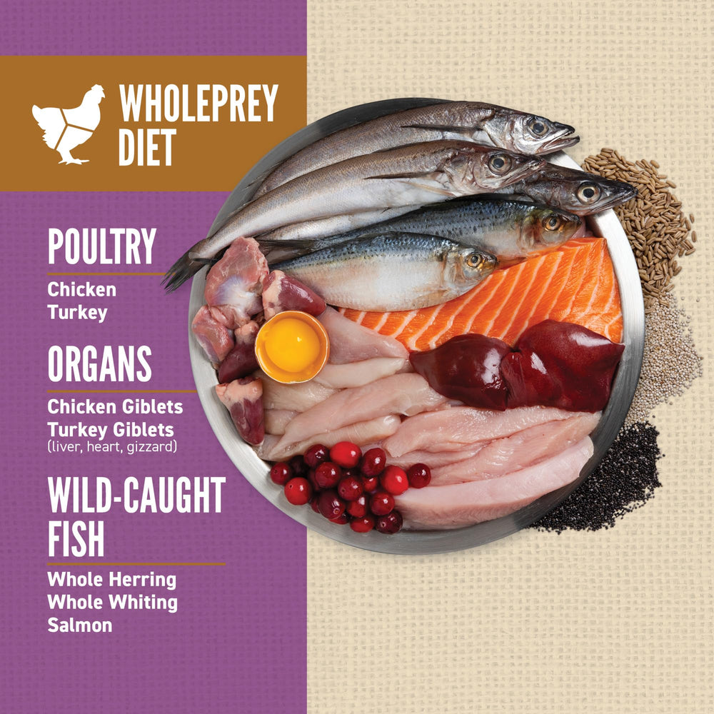 ORIJEN first-five-ingredients chicken liver salmon, protein-rich foundations
