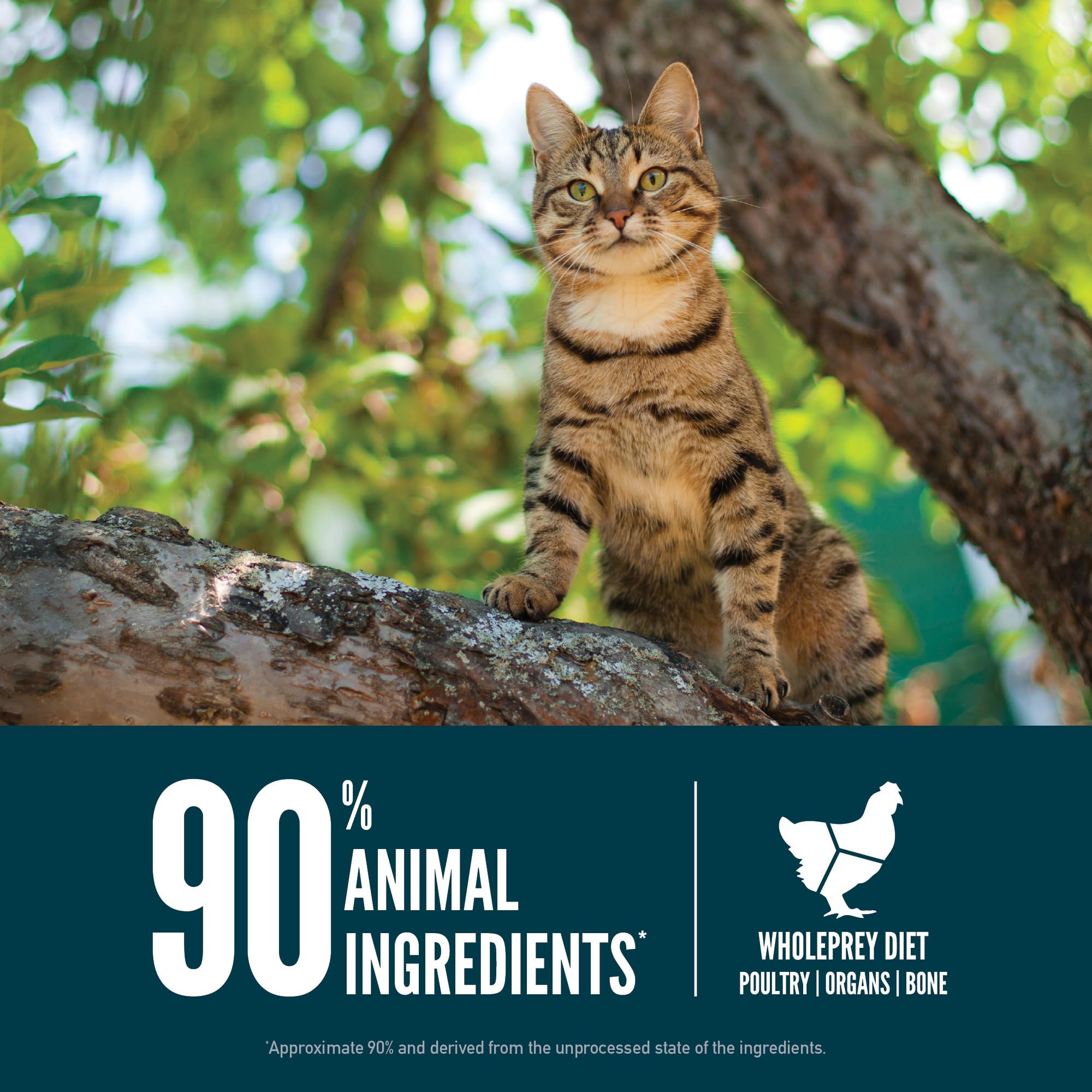 Illustration of free‑run poultry reflecting chicken and turkey ingredients in ORIJEN Guardian.
