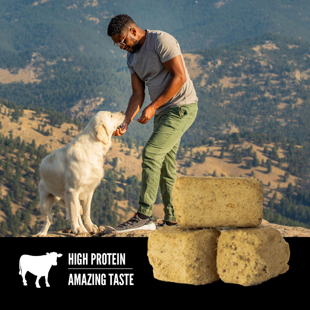 ORIJEN Free-Run poultry ingredients close-up highlights quality animal proteins.