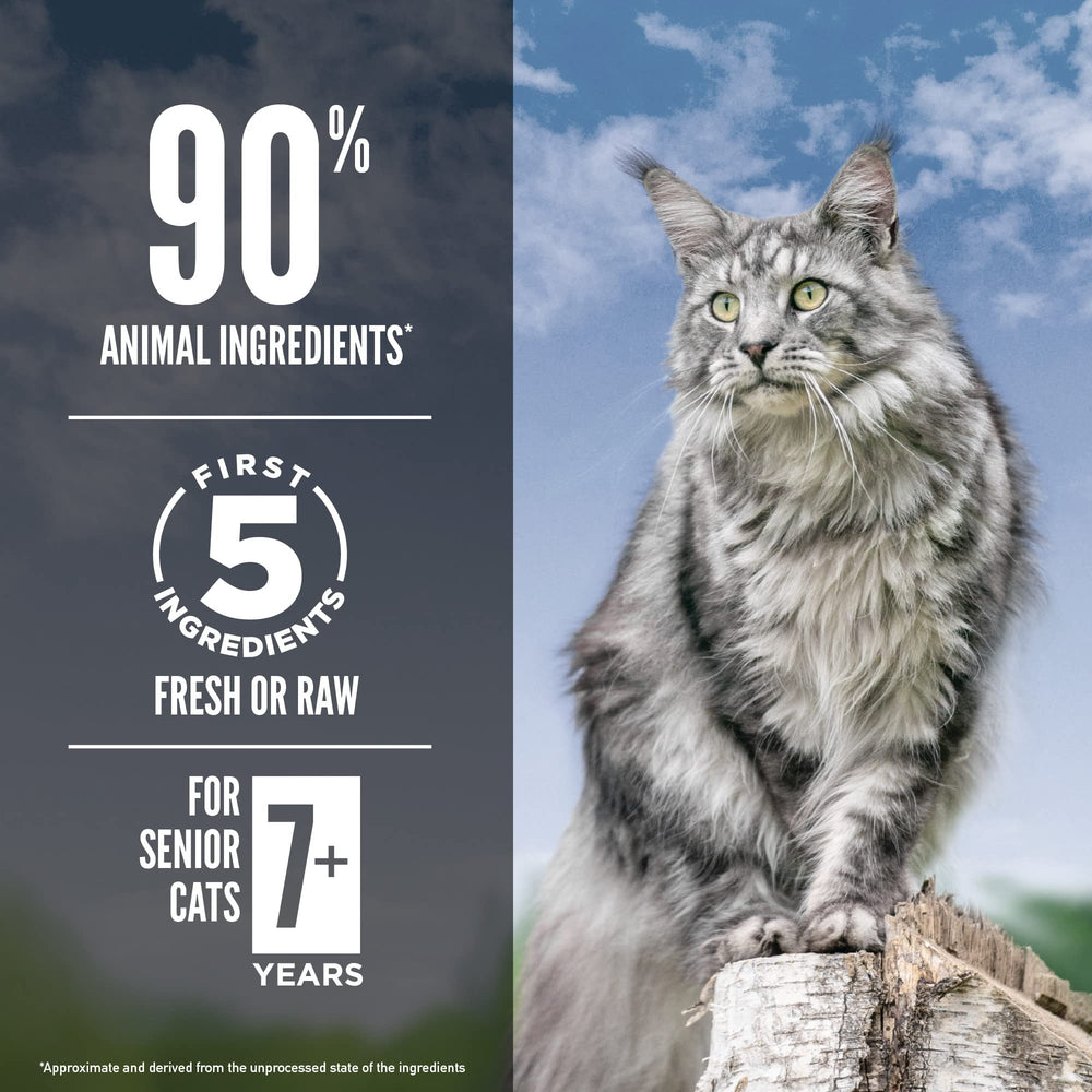 ORIJEN Guardian Senior aging cat lifestyle shot suggests senior nutrition for mobility.