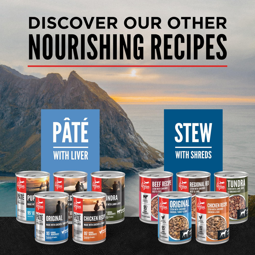 ORIJEN kibble and wet-food combo image suggesting versatile mealtime options.