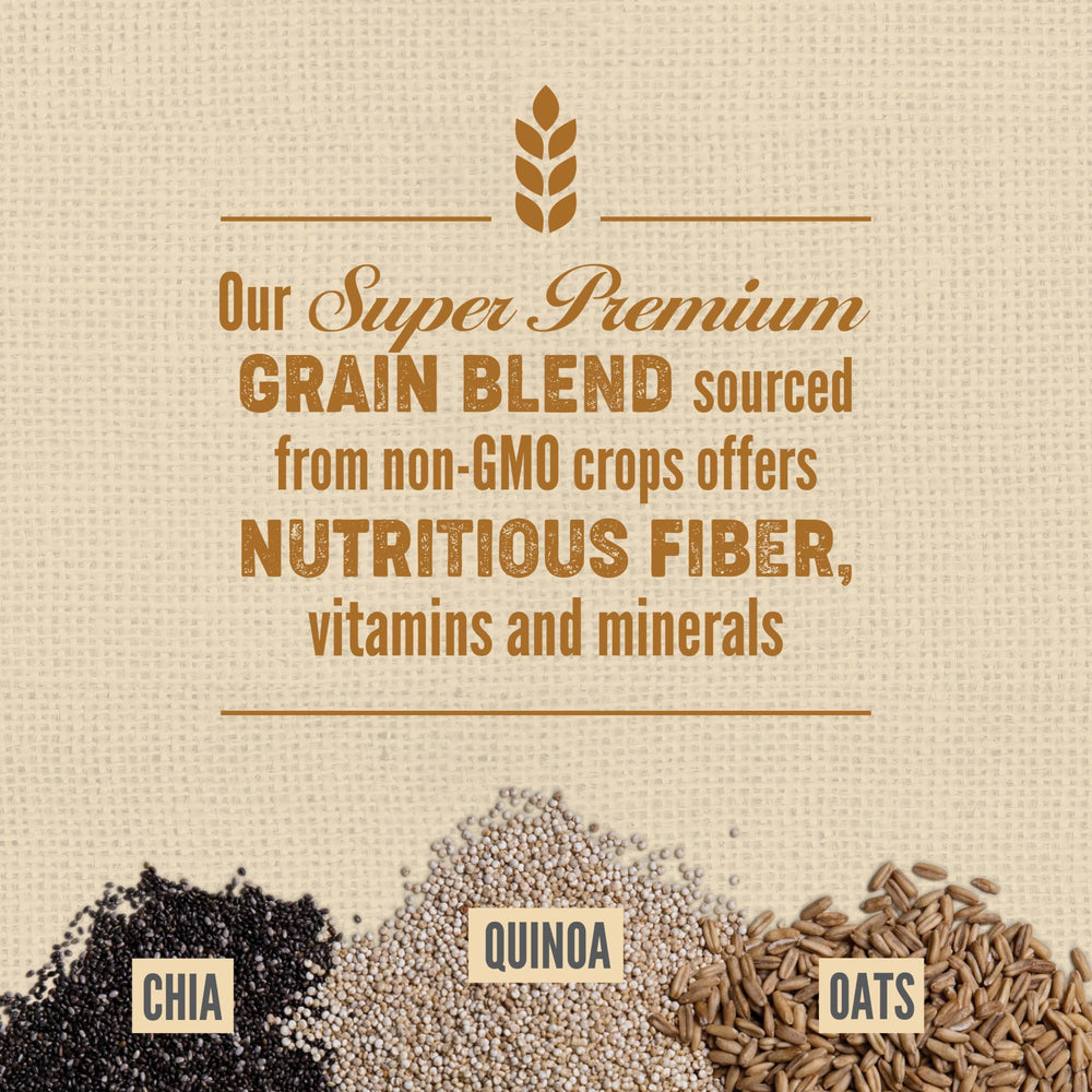 ORIJEN kibble closeup reveals crunchy texture and grain balance