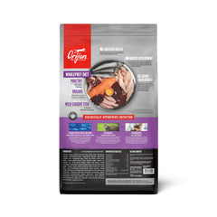 ORIJEN kitten dry food bowl served showing enticing kibble for mealtime curiosity