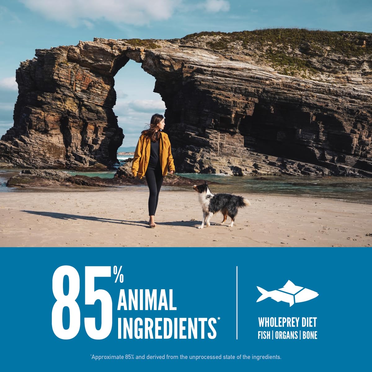 ORIJEN Six Fish is USA-made with quality ingredients for dogs.