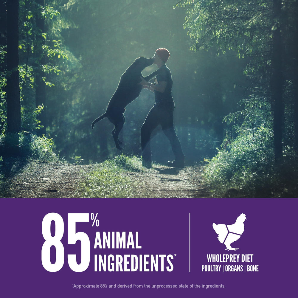 ORIJEN omega-3 fatty acids from fish support skin and coat health.