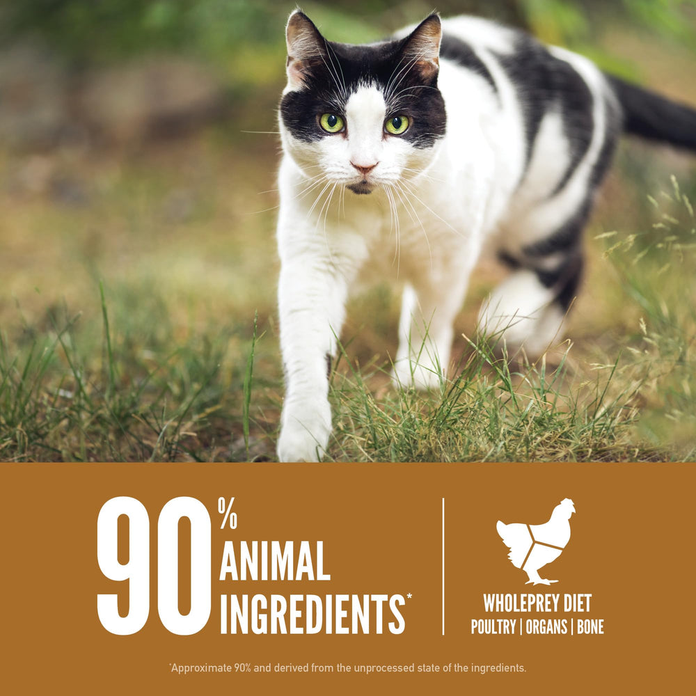 Free-run chicken and turkey shown in ORIJEN Original formulation