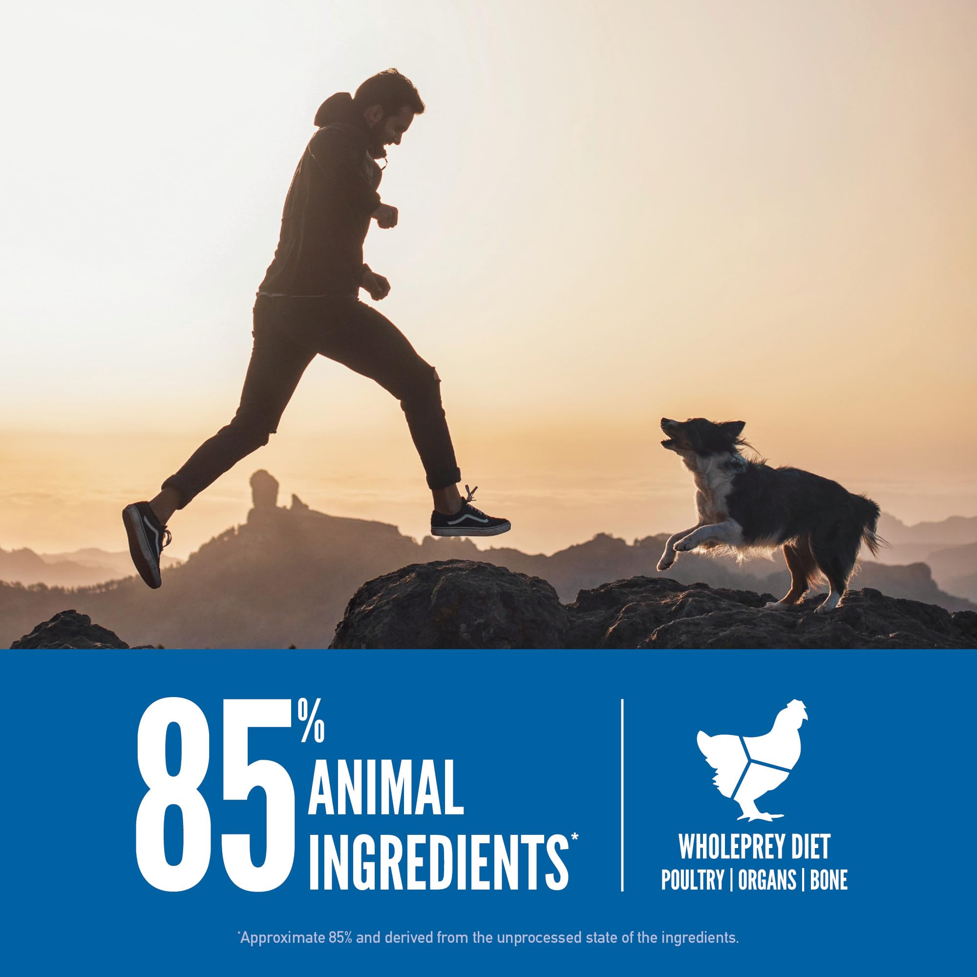 First five ingredients include chicken, turkey, and salmon for protein variety