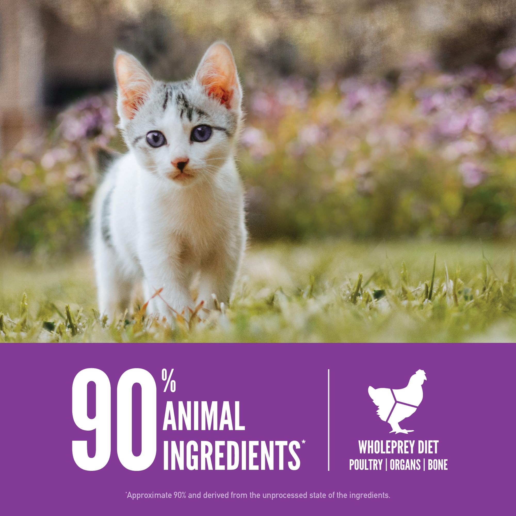 ORIJEN pollock oil highlights omega-3 fatty acids for coat health.