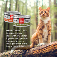 Cans aligned to showcase ORIJEN pâté packaging
