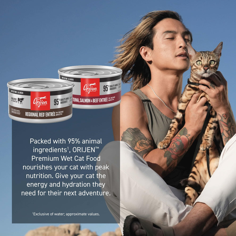 ORIJEN Raw fish and beef provide protein-dense texture in pate.