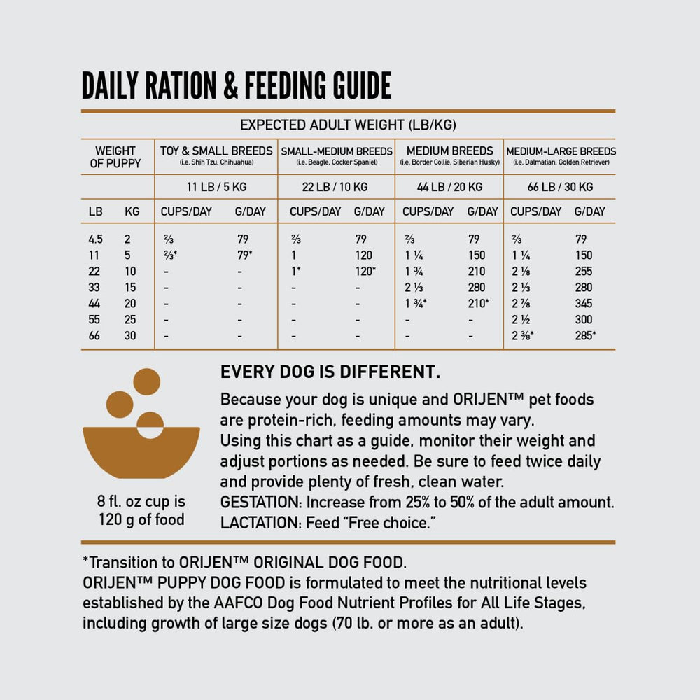 Puppy feeding bowl with ORIJEN kibble suggesting convenient mealtime