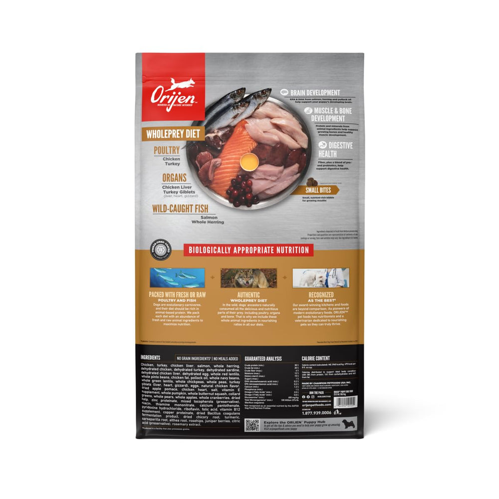 ORIJEN Puppy grain-free kibble close-up shows high-quality poultry and fish ingredients.