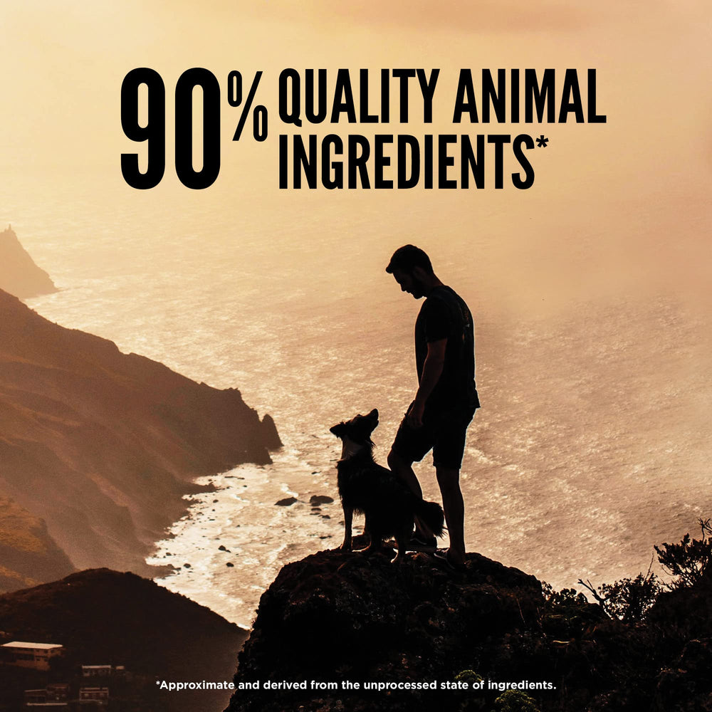 ORIJEN Regional Red contains beef, lamb, wild boar, pork and fish for protein variety