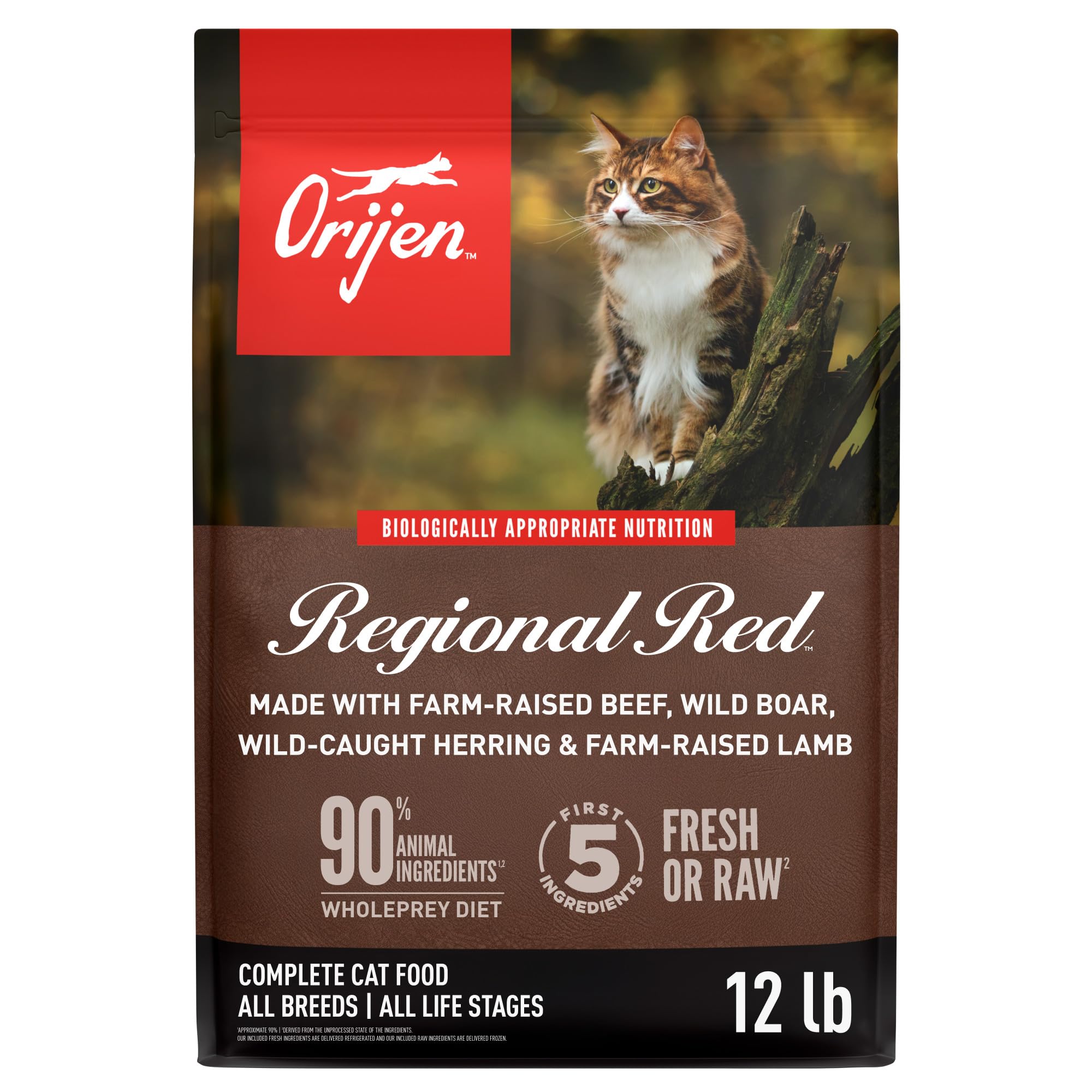 ORIJEN Regional Red dry cat food 12 lb bag showing protein-rich nourishment for cats.