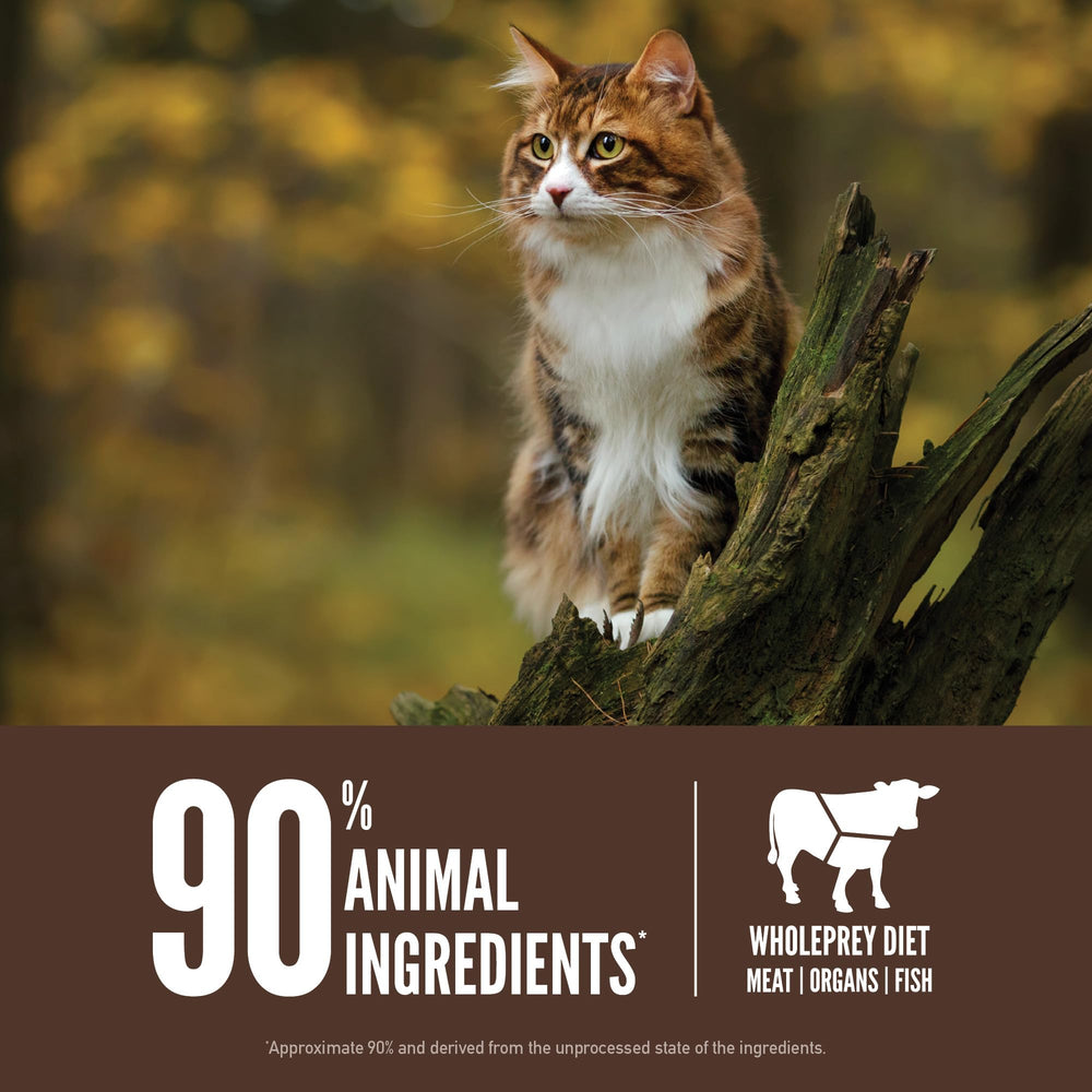 Freeze-dried liver coating on ORIJEN Regional Red enhances flavor appeal.