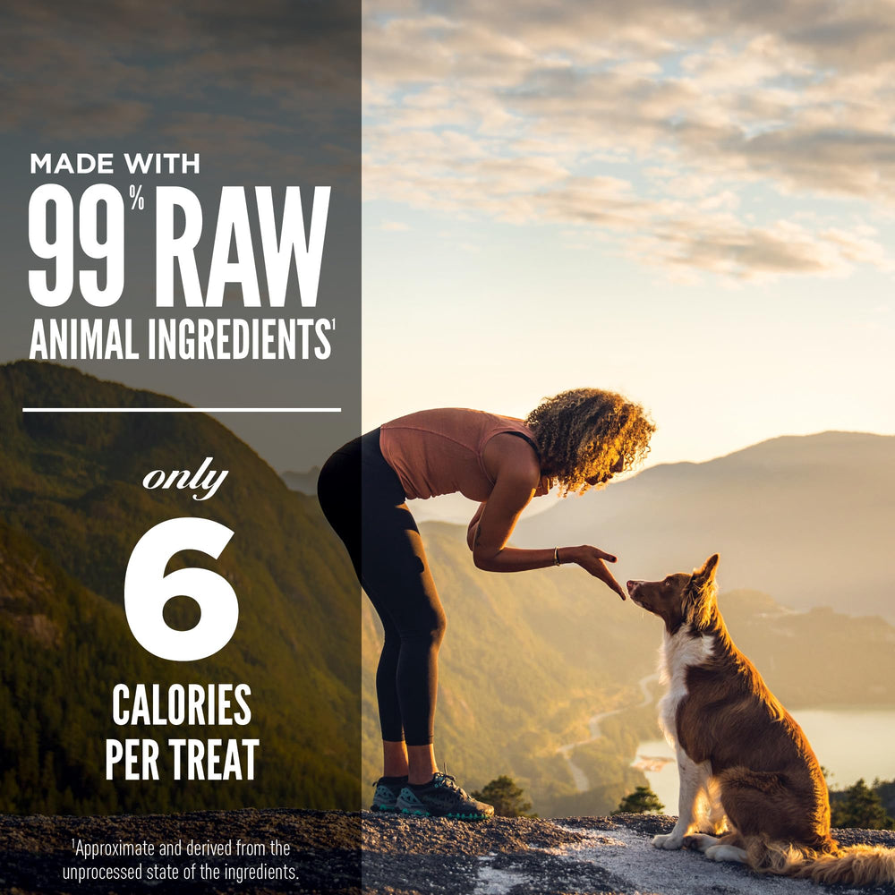 Packaging showing high-protein ORIJEN Regional Red dog treats for active dogs
