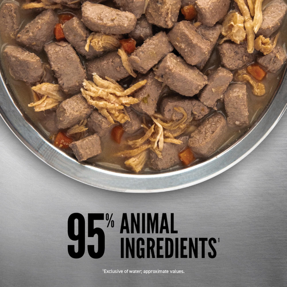 ORIJEN served dish with moist shreds illustrating appetizing presentation for dogs.