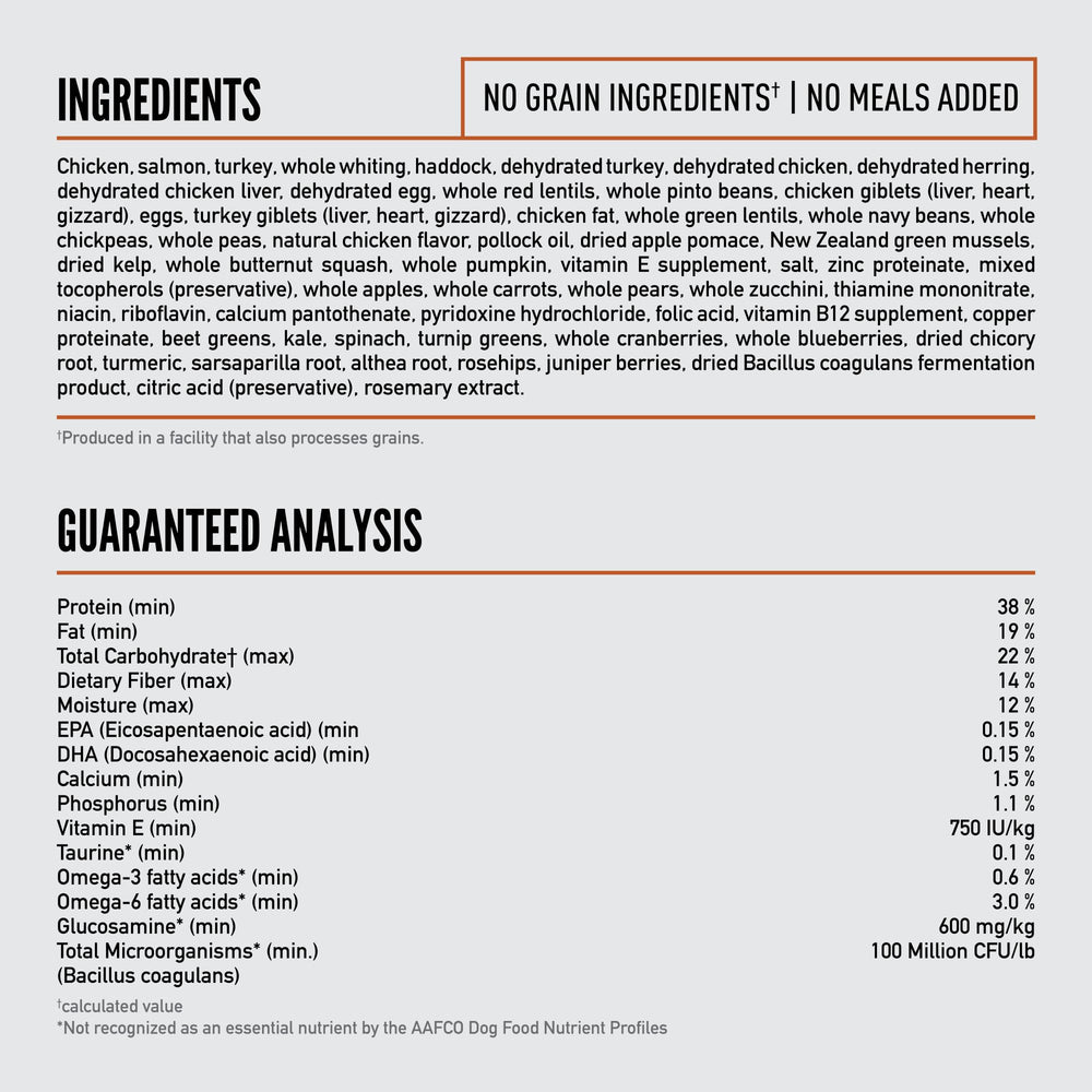ORIJEN small breed puppy kibble texture close-up showcases small, nutrient-dense bites