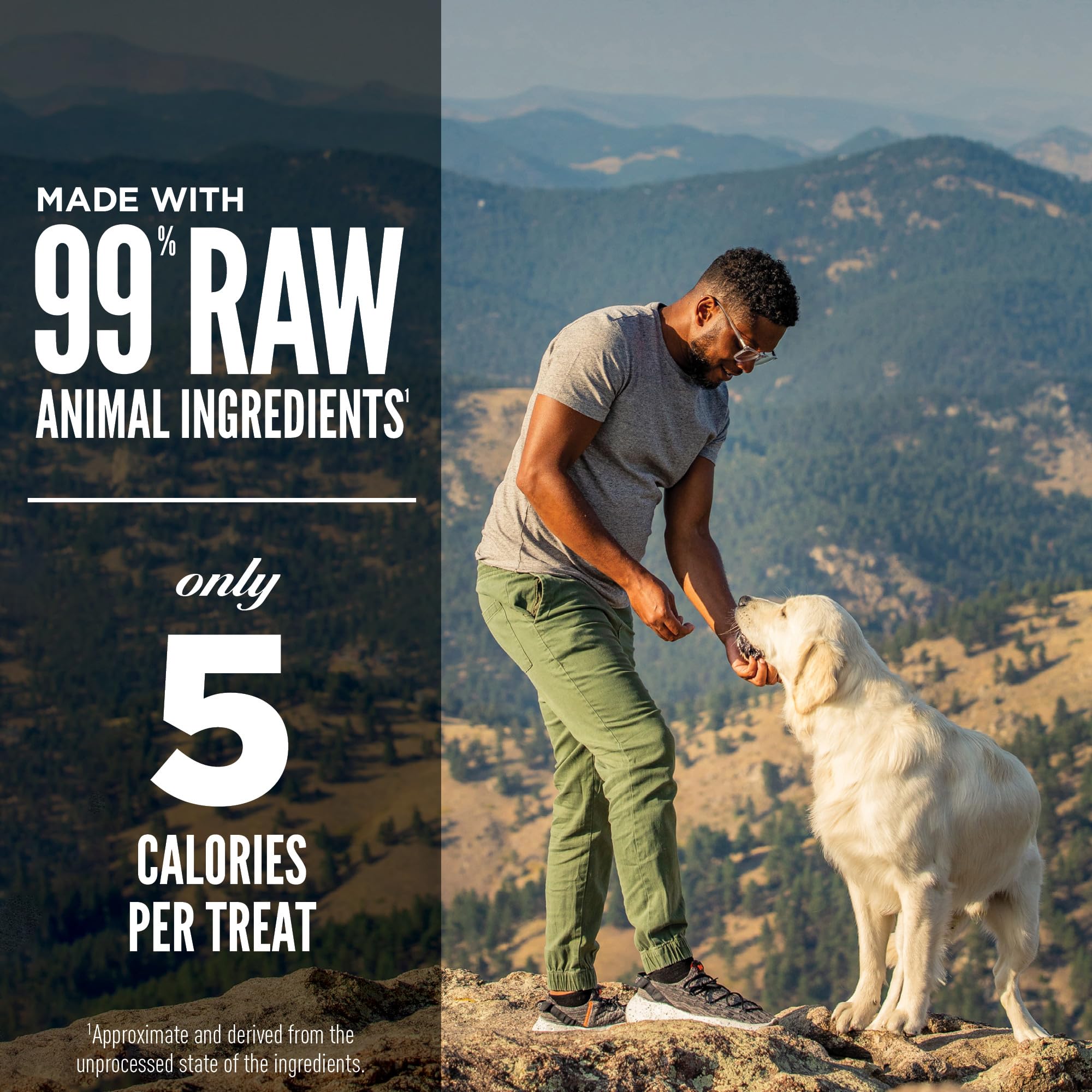 Dog happily enjoying ORIJEN tundra treat on a hiking trail.