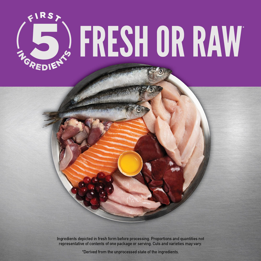 ORIJEN wild-caught salmon and rabbit ingredients highlight natural protein sources.