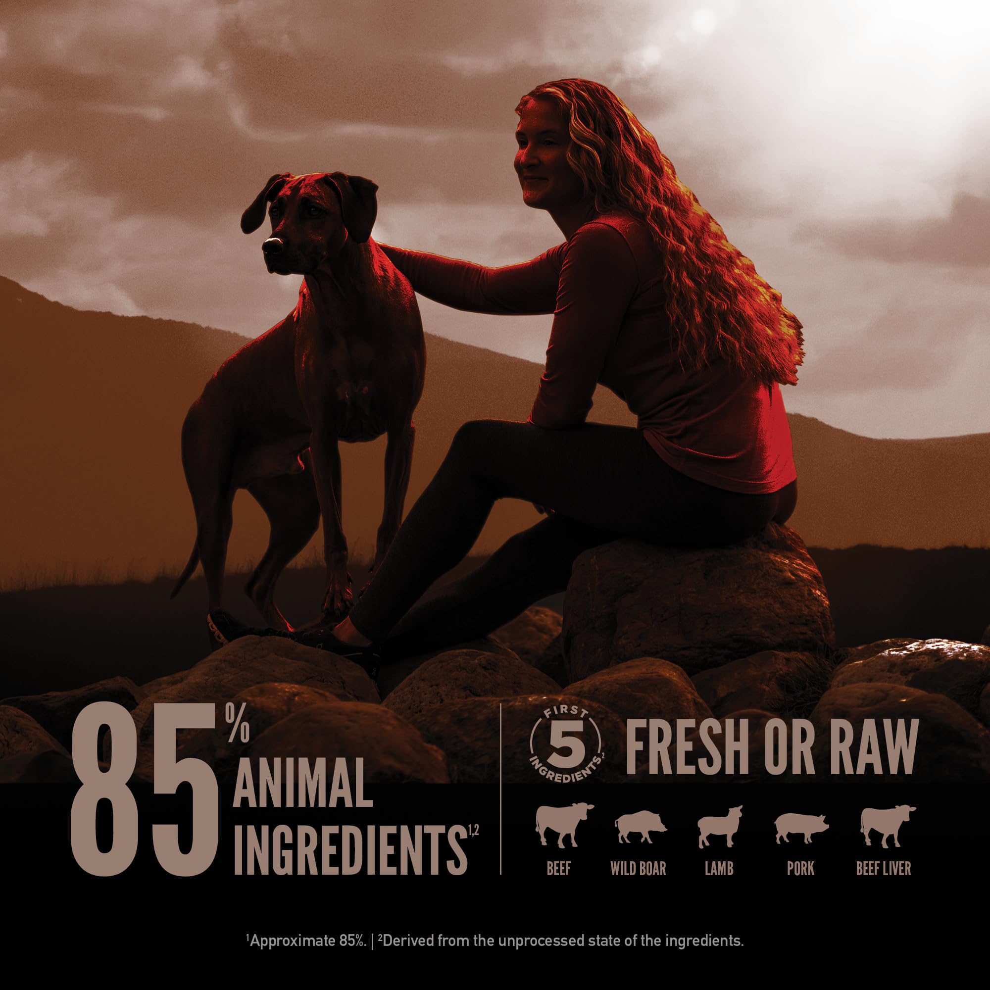 ORIJEN Wild Reserve dog-meal-serving setup emphasizes premium quality