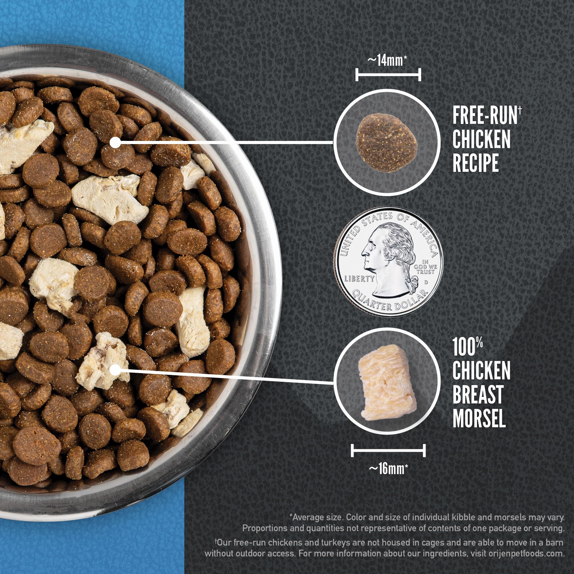 ORIJEN Wild Reserve kibble supports immune health, skin and coat, and digestion