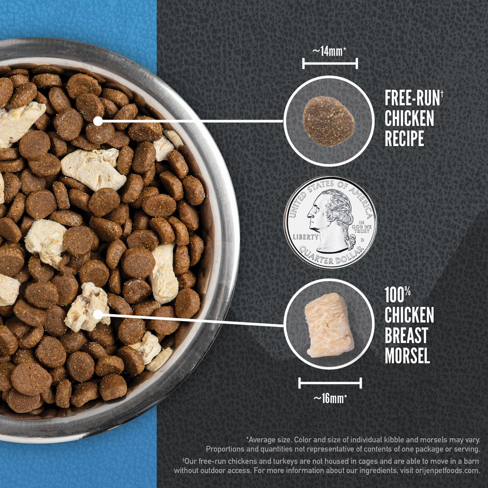 ORIJEN Wild Reserve kibble supports immune health, skin and coat, and digestion