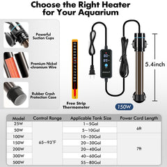 Orlushy real-time temperature sensor provides accurate readings during setup