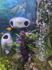 OrnaMounts aquarium-safe resin ensures durable, non-toxic decoration