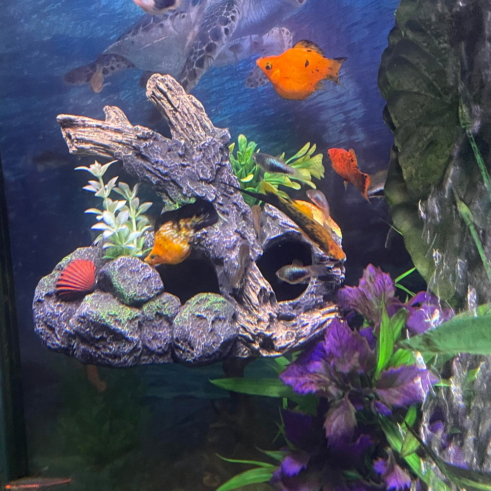 OrnaMounts magnetic driftwood outcropping anchored to glass for space saving