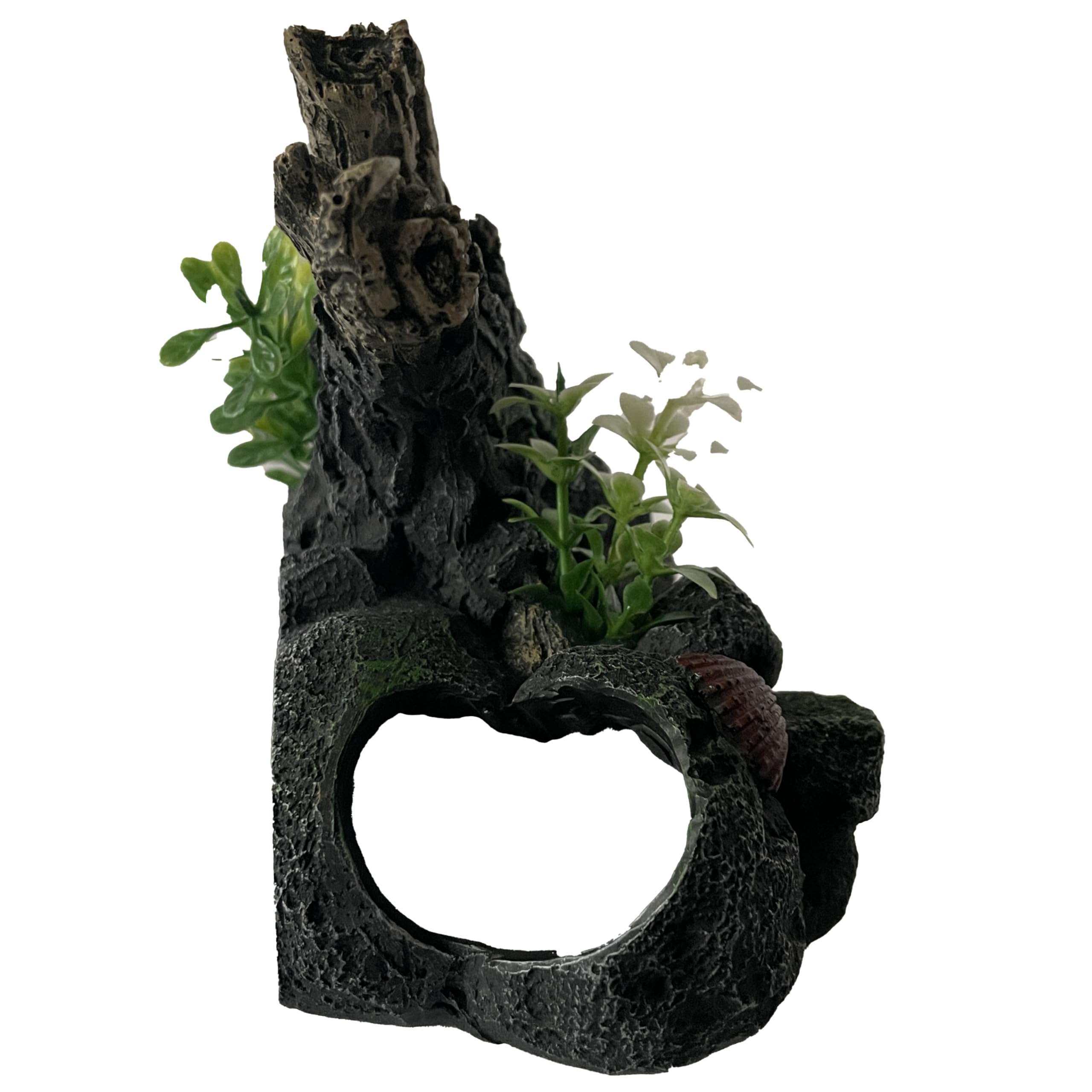 OrnaMounts natural driftwood accent enriching aquarium visuals