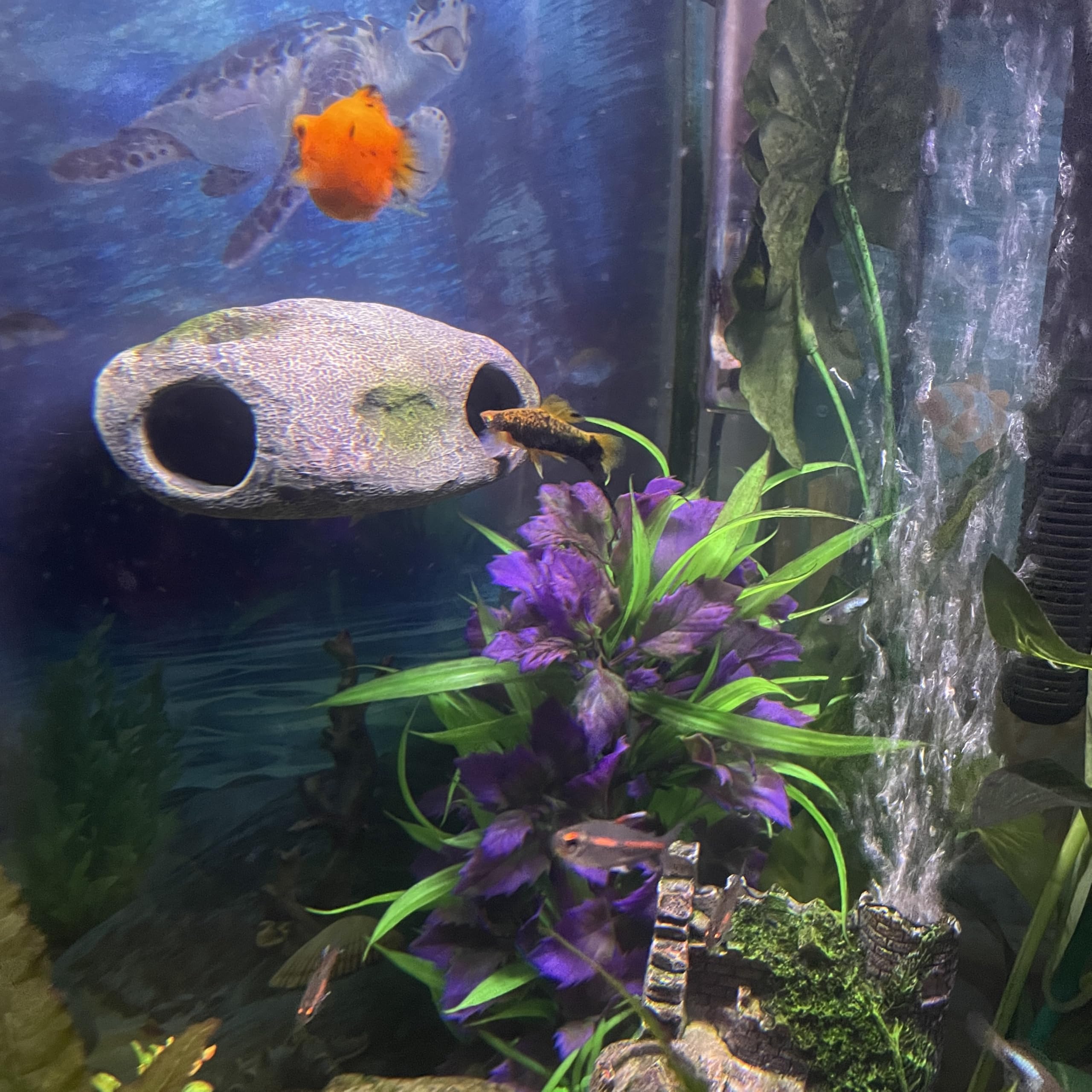 OrnaMounts realistic rock cave enhances tank exploration and habitat