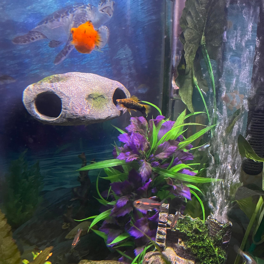OrnaMounts realistic rock cave enhances tank exploration and habitat